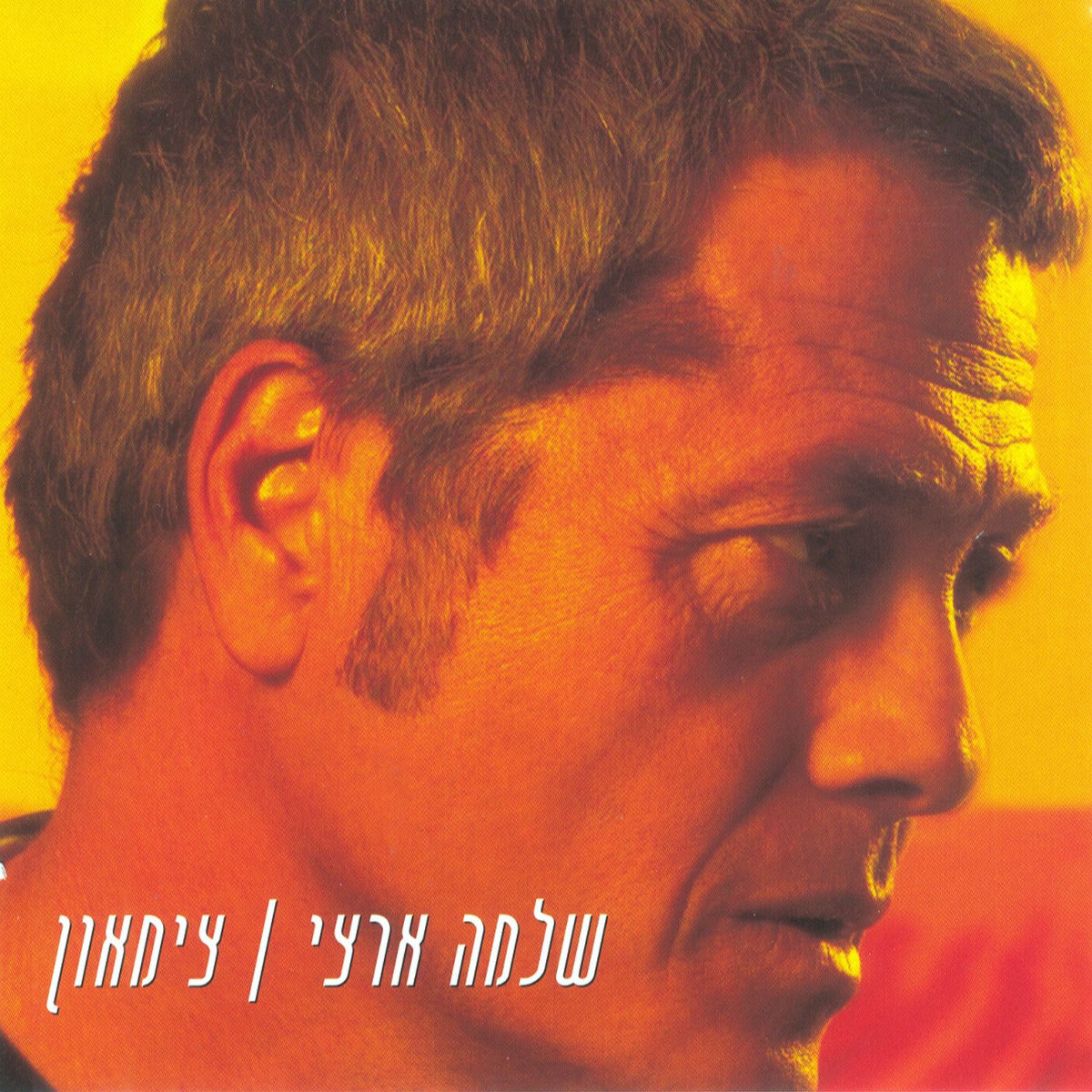 Album cover of על פי תנועת הרכבות