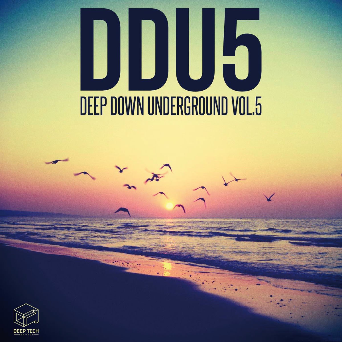 Album cover of Deep Down Underground Vol.5