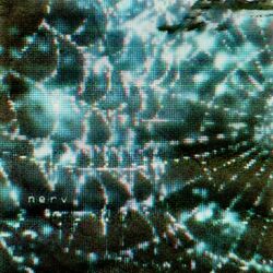 Cover of nerv