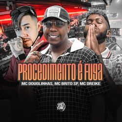 Cover of Procedimento É Fuga