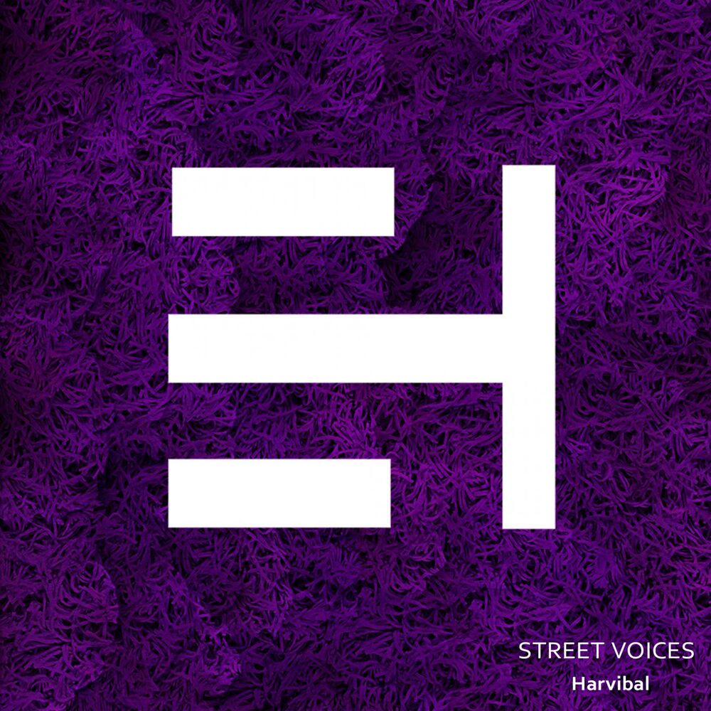 Picture of Street Voices