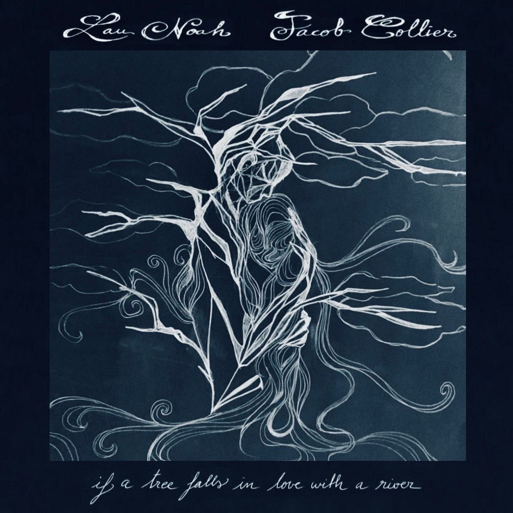 Pochette du titre If a tree falls in love with a river
