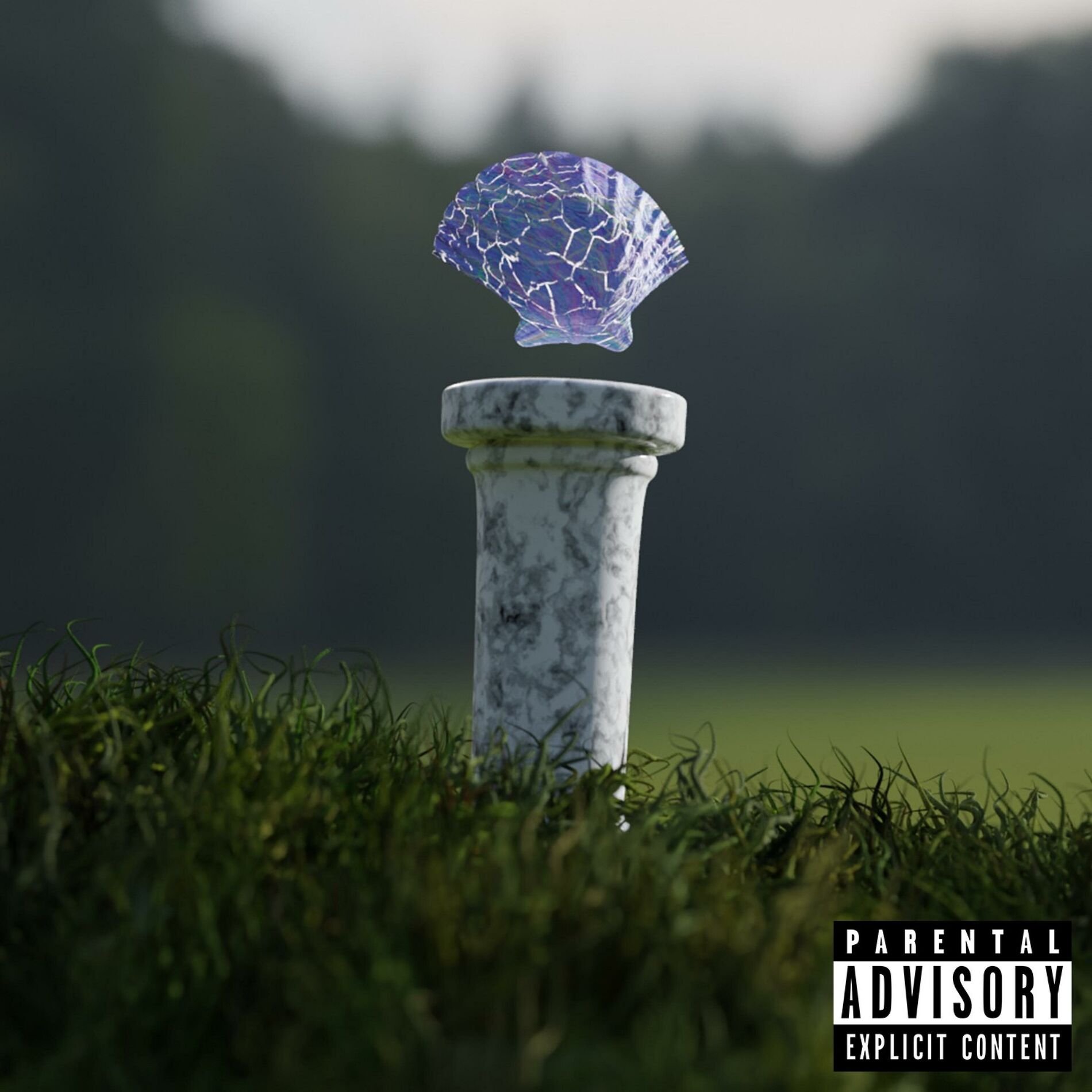 Album cover of Shell