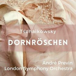 Cover of Peter Tschaikowsky: Dornröschen