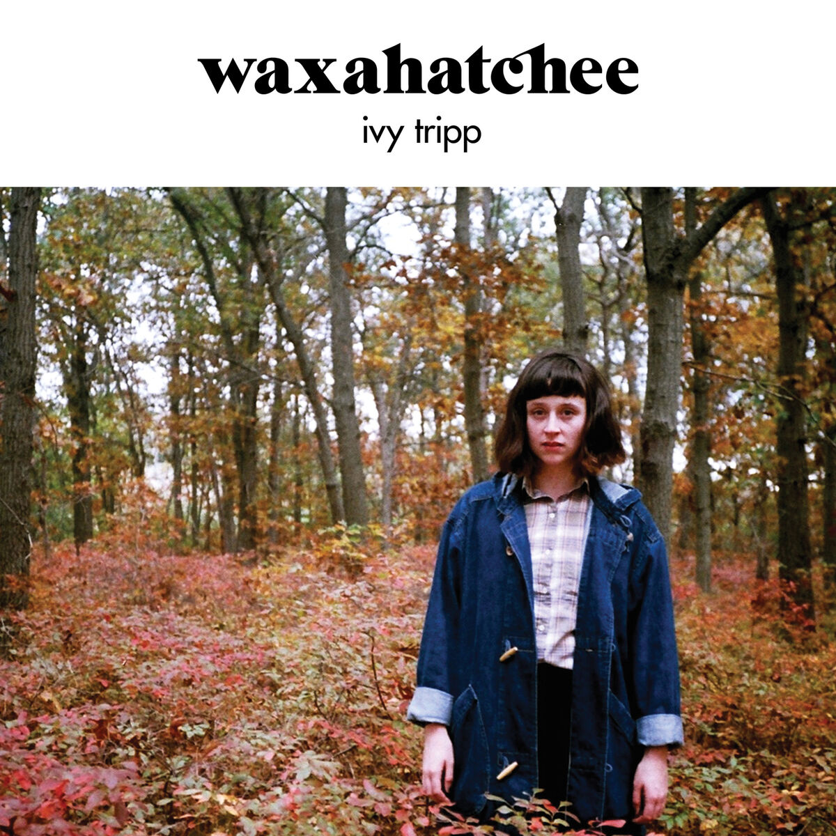 Album cover of Ivy Tripp