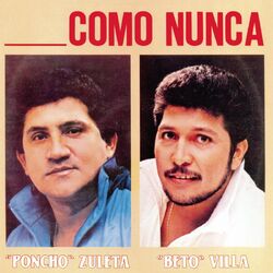 Cover of Como Nunca