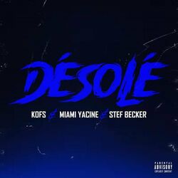 Cover of Désolé