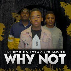 Cover of WHY NOT
