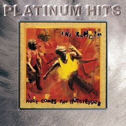 Cover of Here Comes The Hotstepper