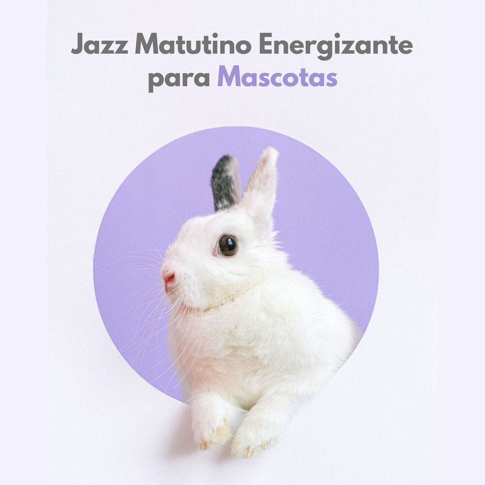 Picture of Jazz Matutino Energizante Para Mascotas