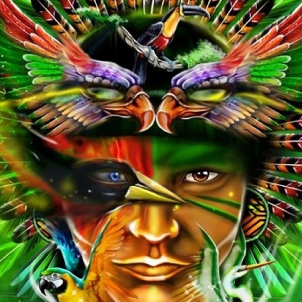 Picture of Amazônia Eterna