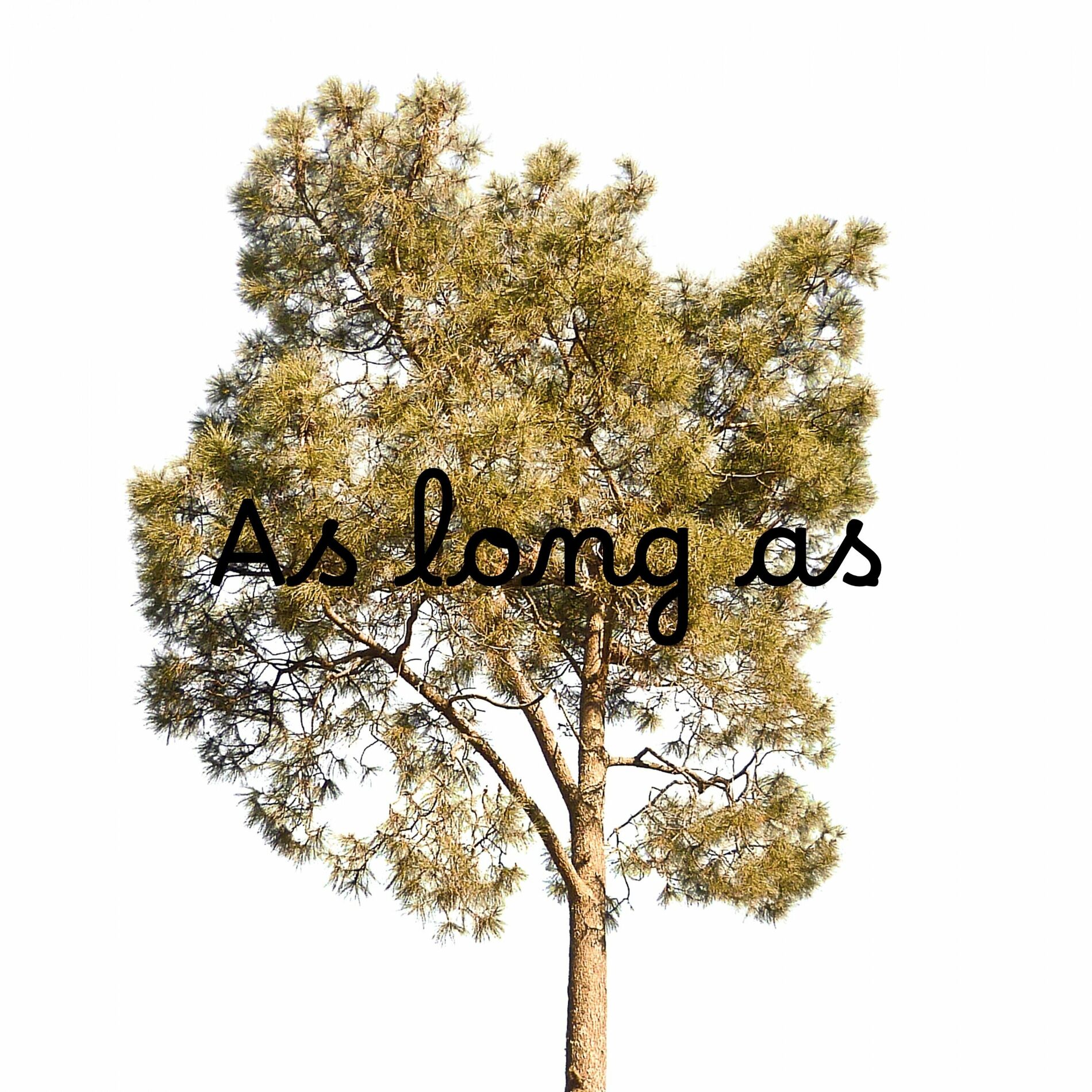 Album cover of As Long As