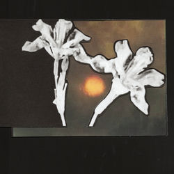 Pochette Loving You / Don't Let Me Go