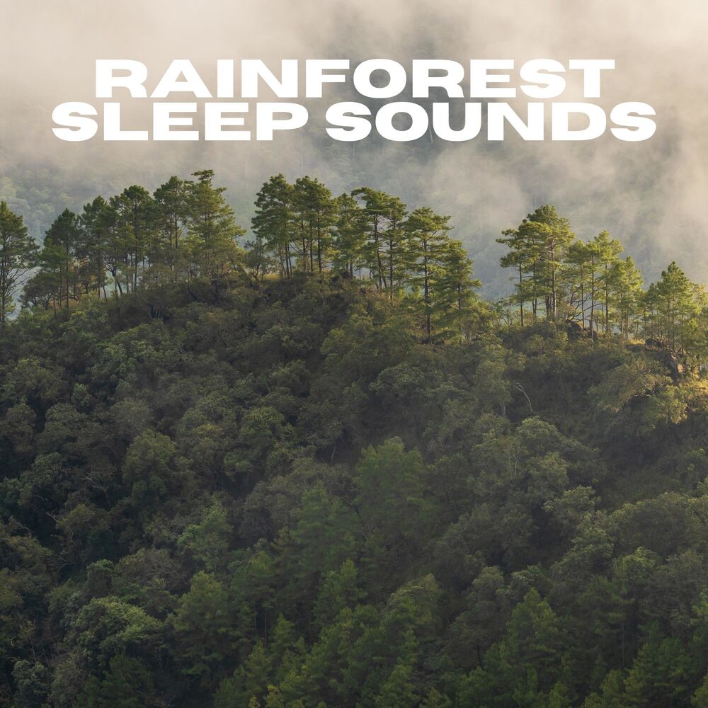 Picture of Rainforest Sleep Sounds