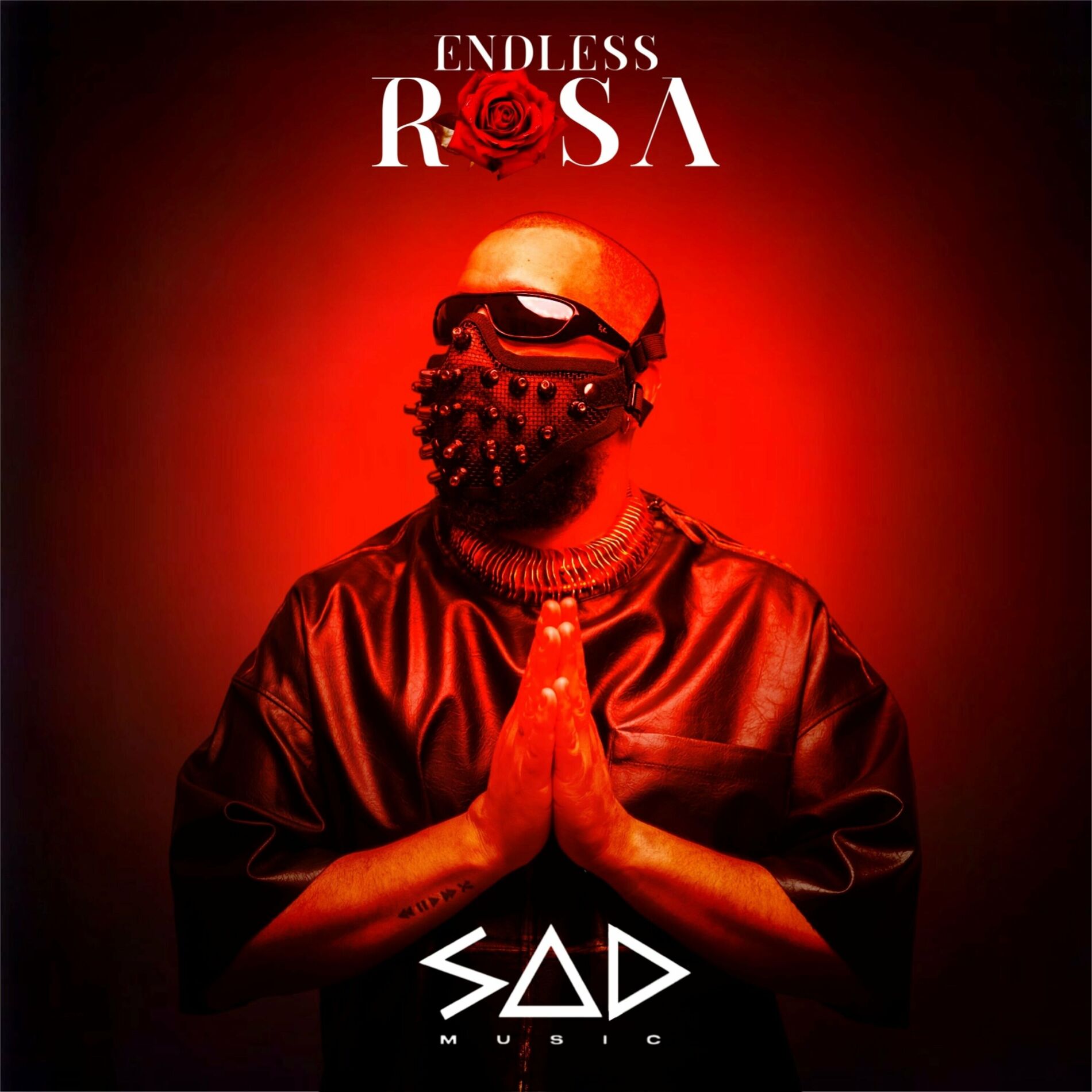 Album cover of Endless Rosa