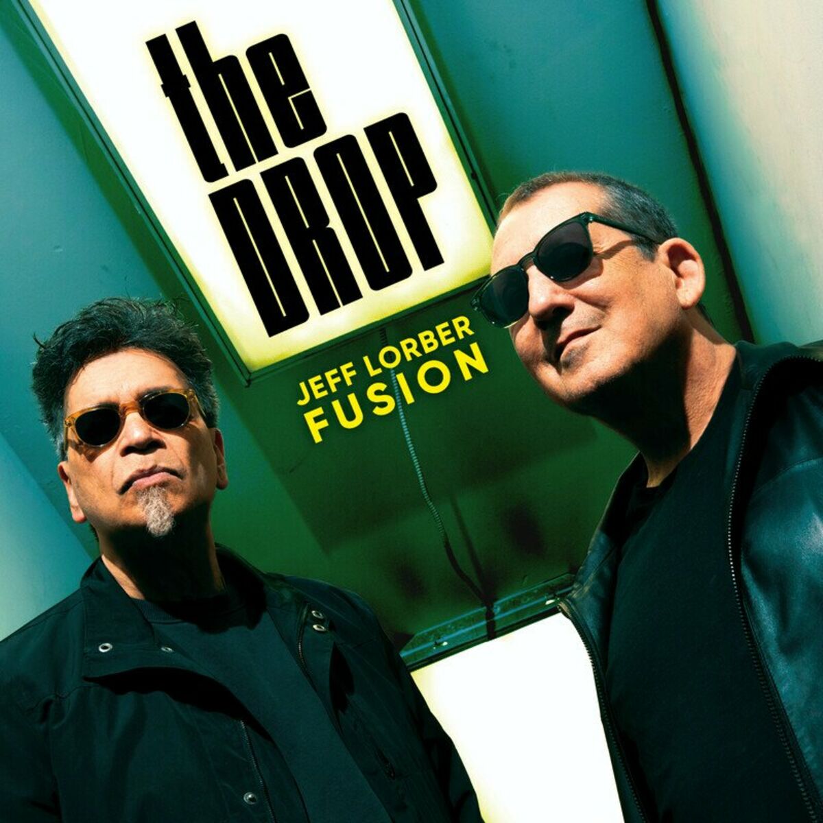 Album cover of The Drop