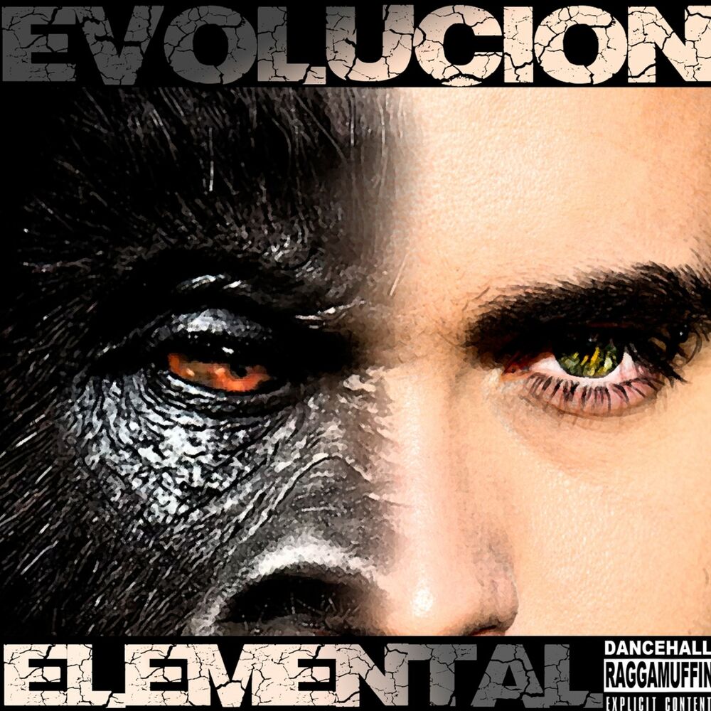 Picture of Evolución