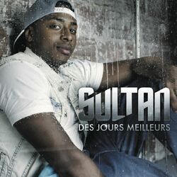 Cover of Des jours meilleurs