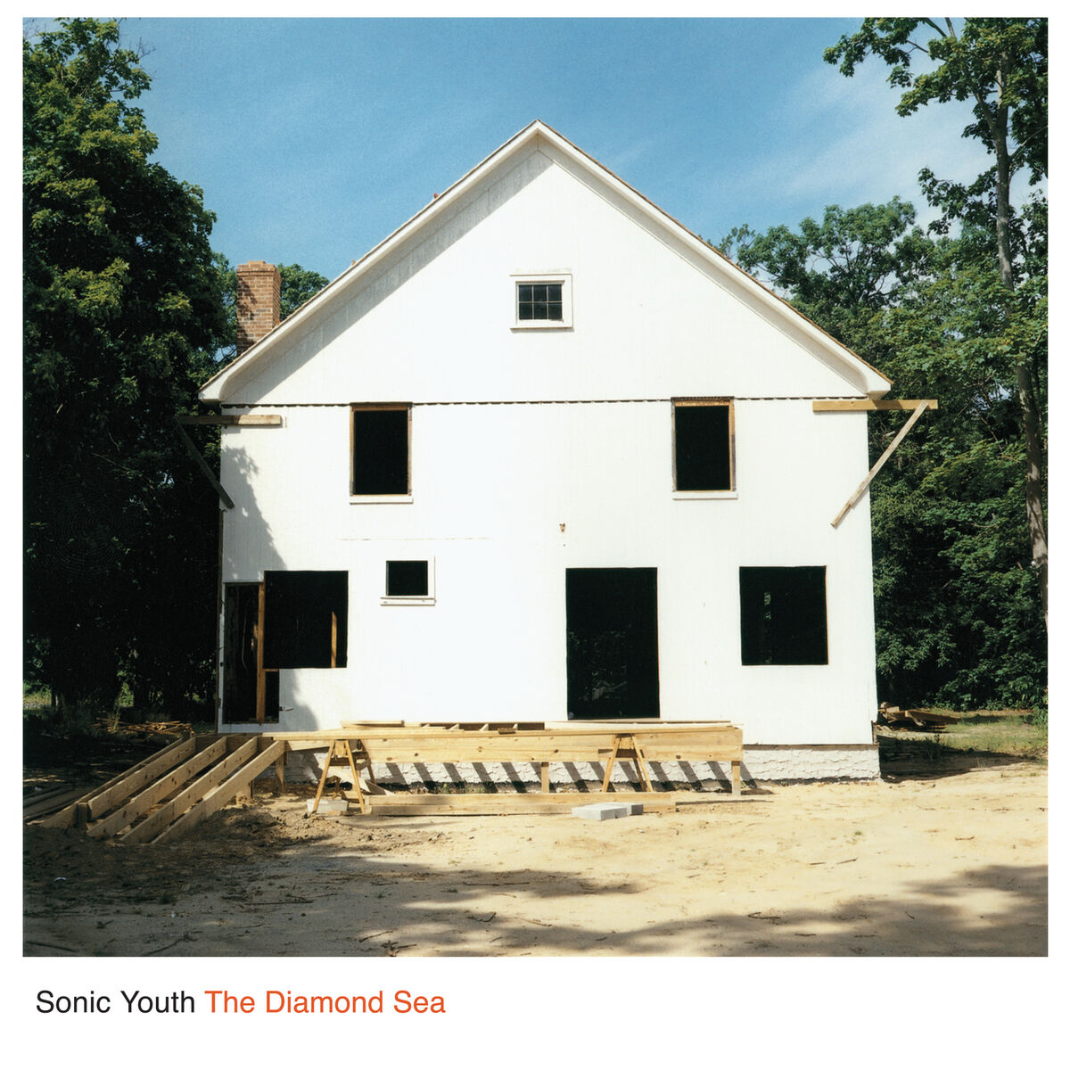 Album cover of The Diamond Sea