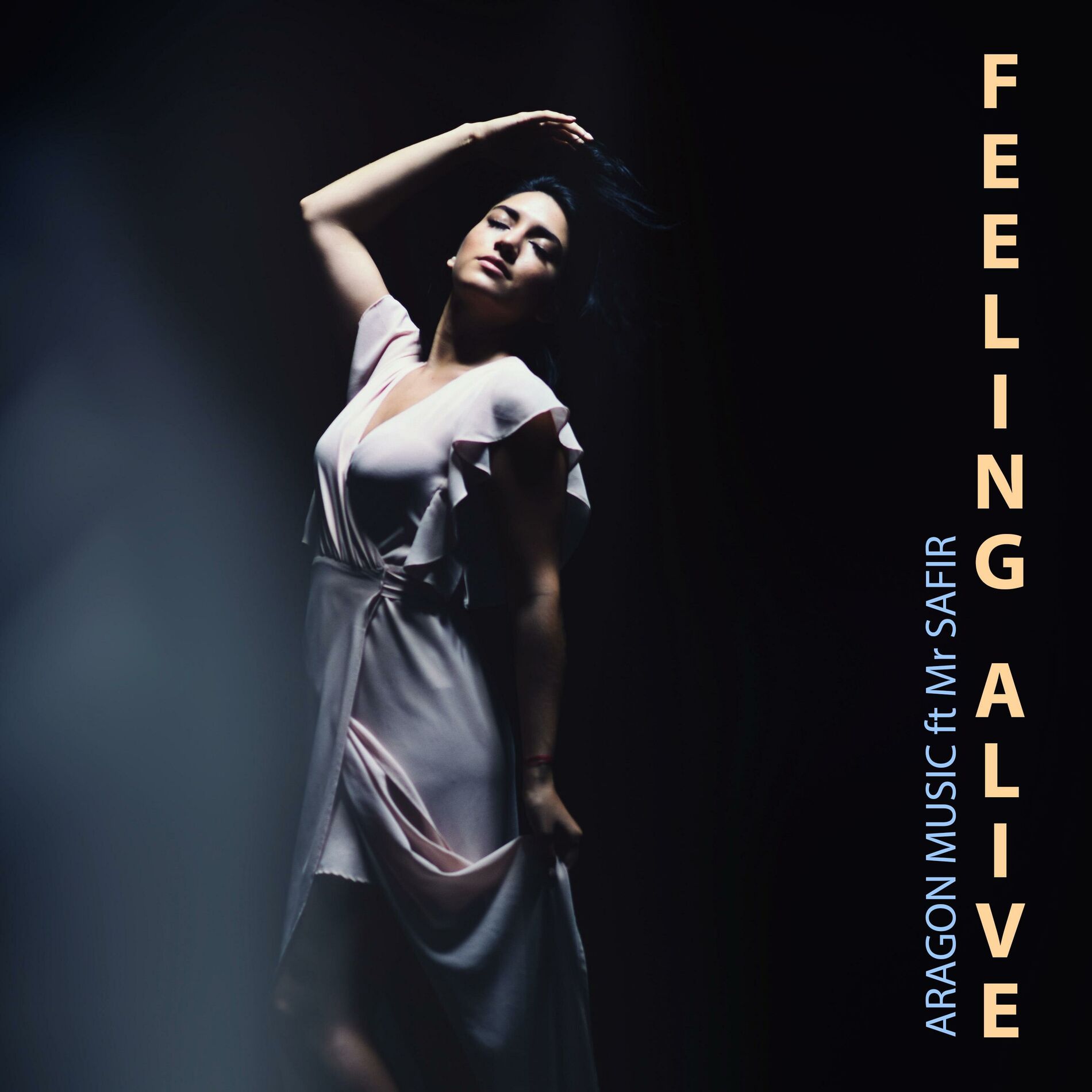 Album cover of Feeling Alive (feat. Mr Safir Music)