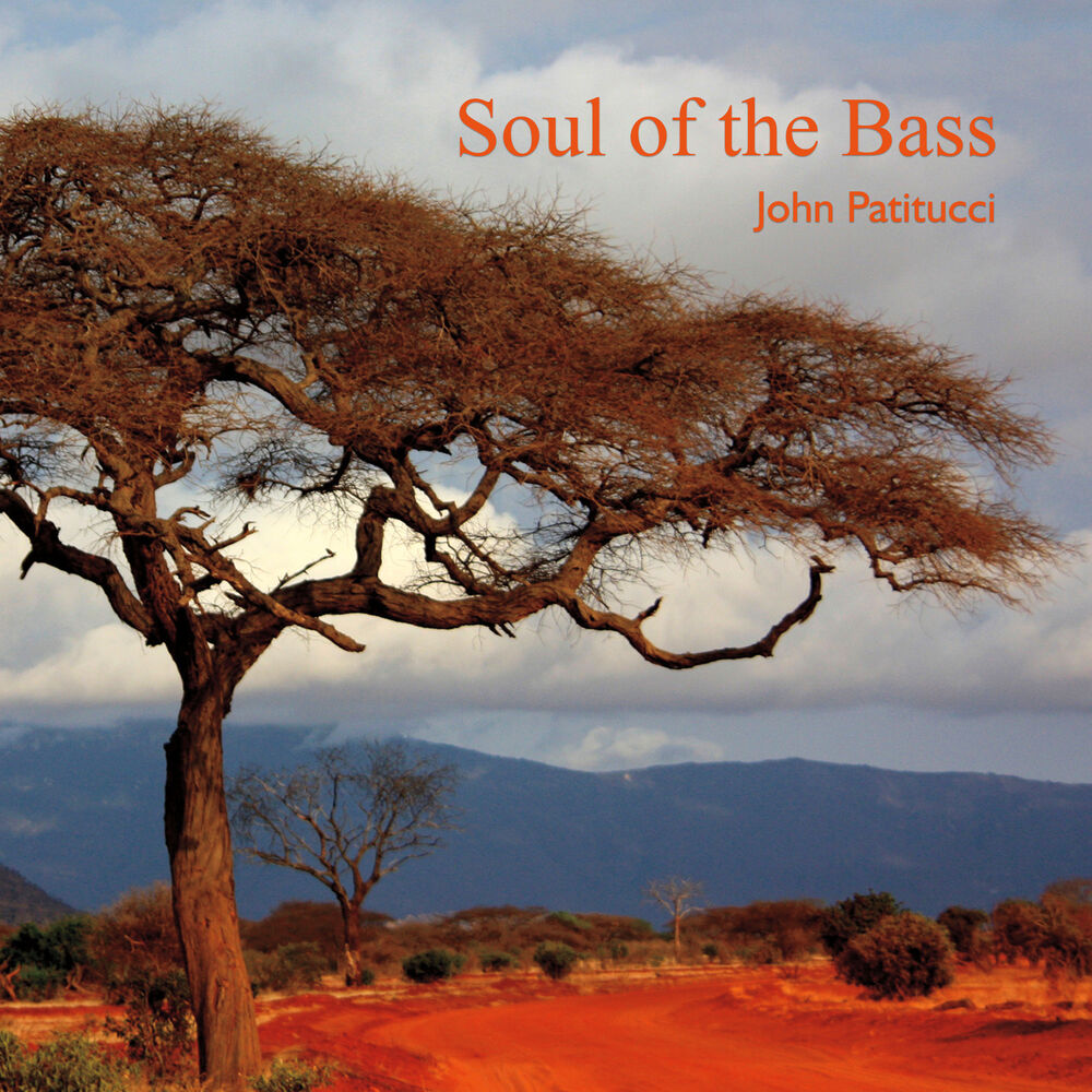 Picture of Soul of the Bass
