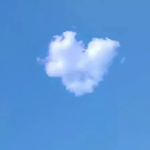 心向未来