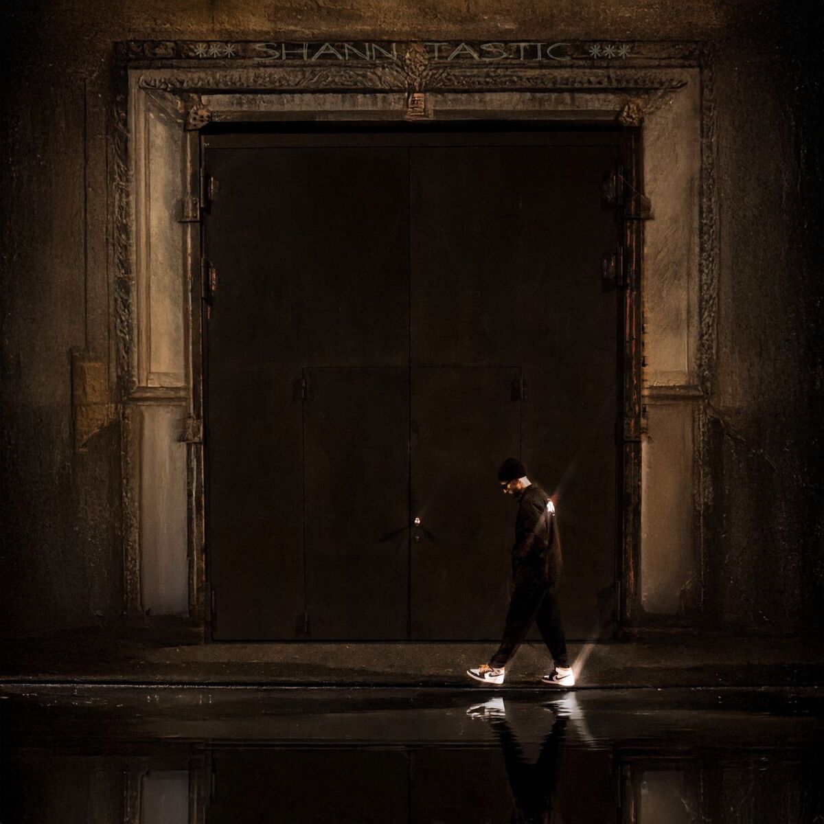 Album cover of SHANNTASTIC