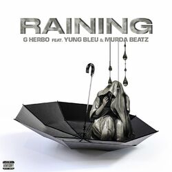 Cover of Raining