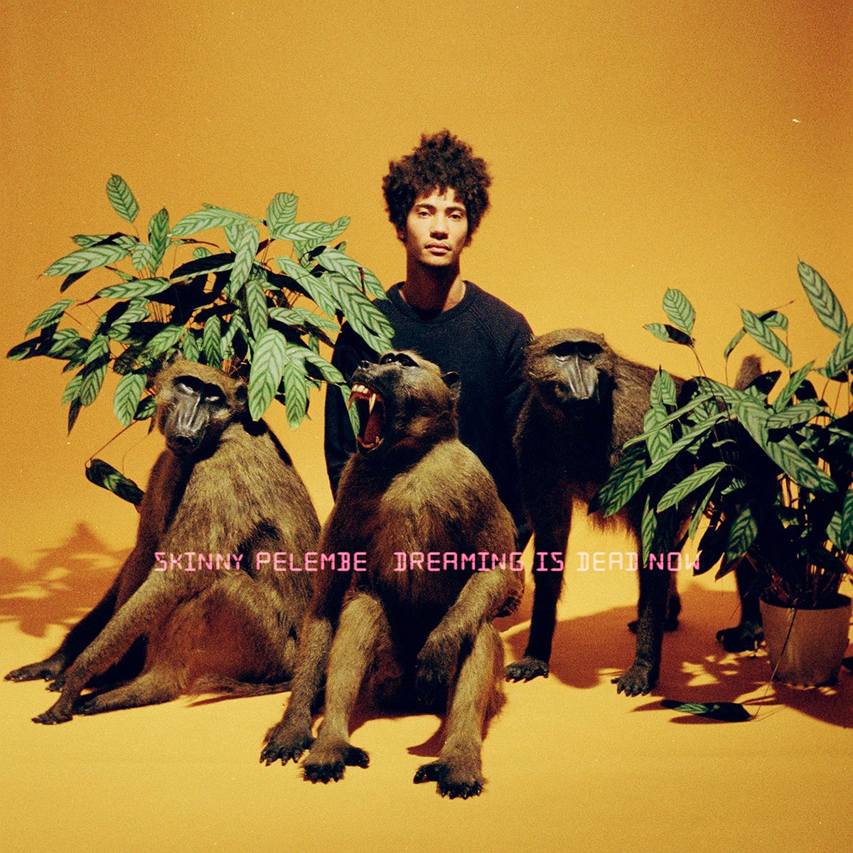Album cover of My Love Is Burning, Down