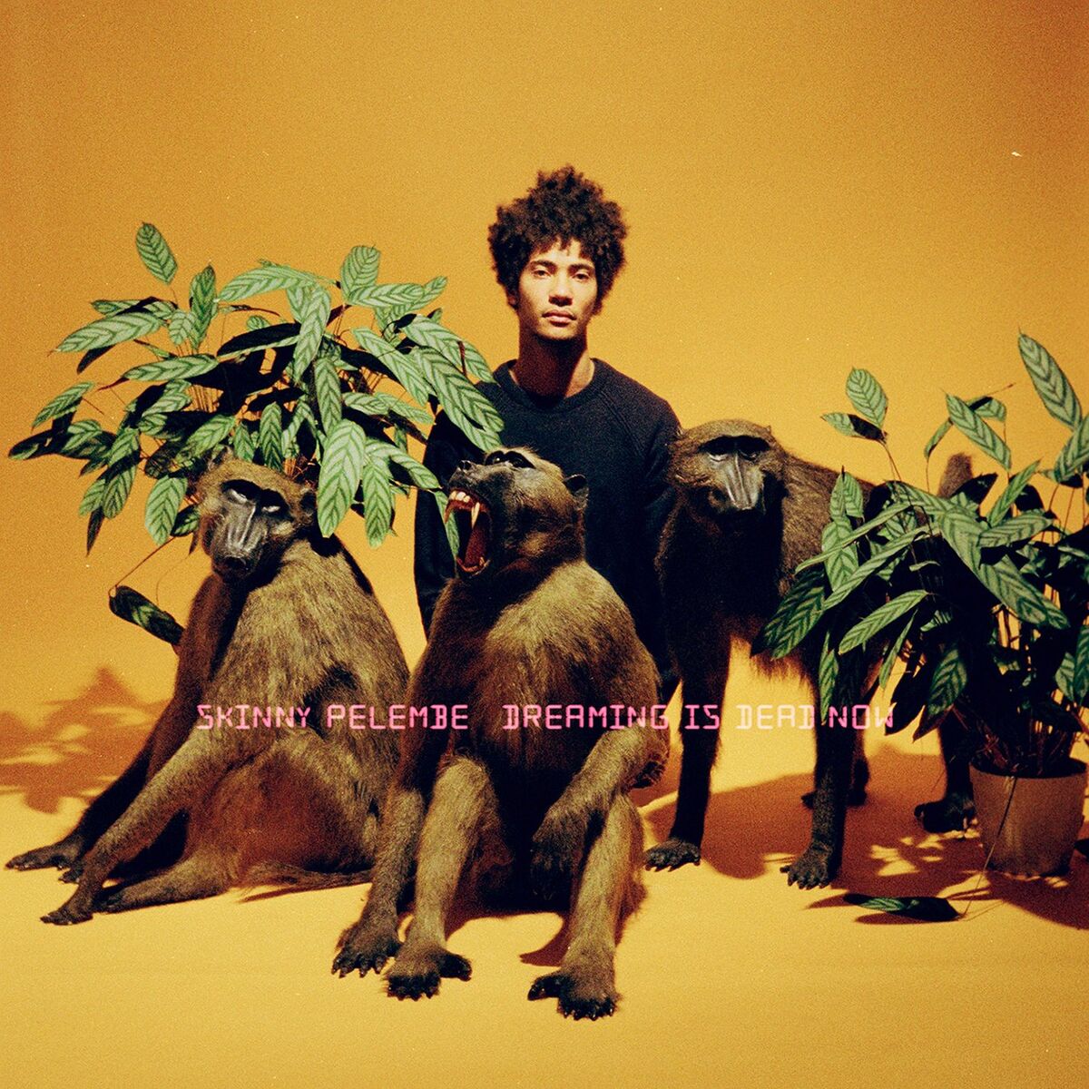 Album cover of Dreaming Is Dead Now