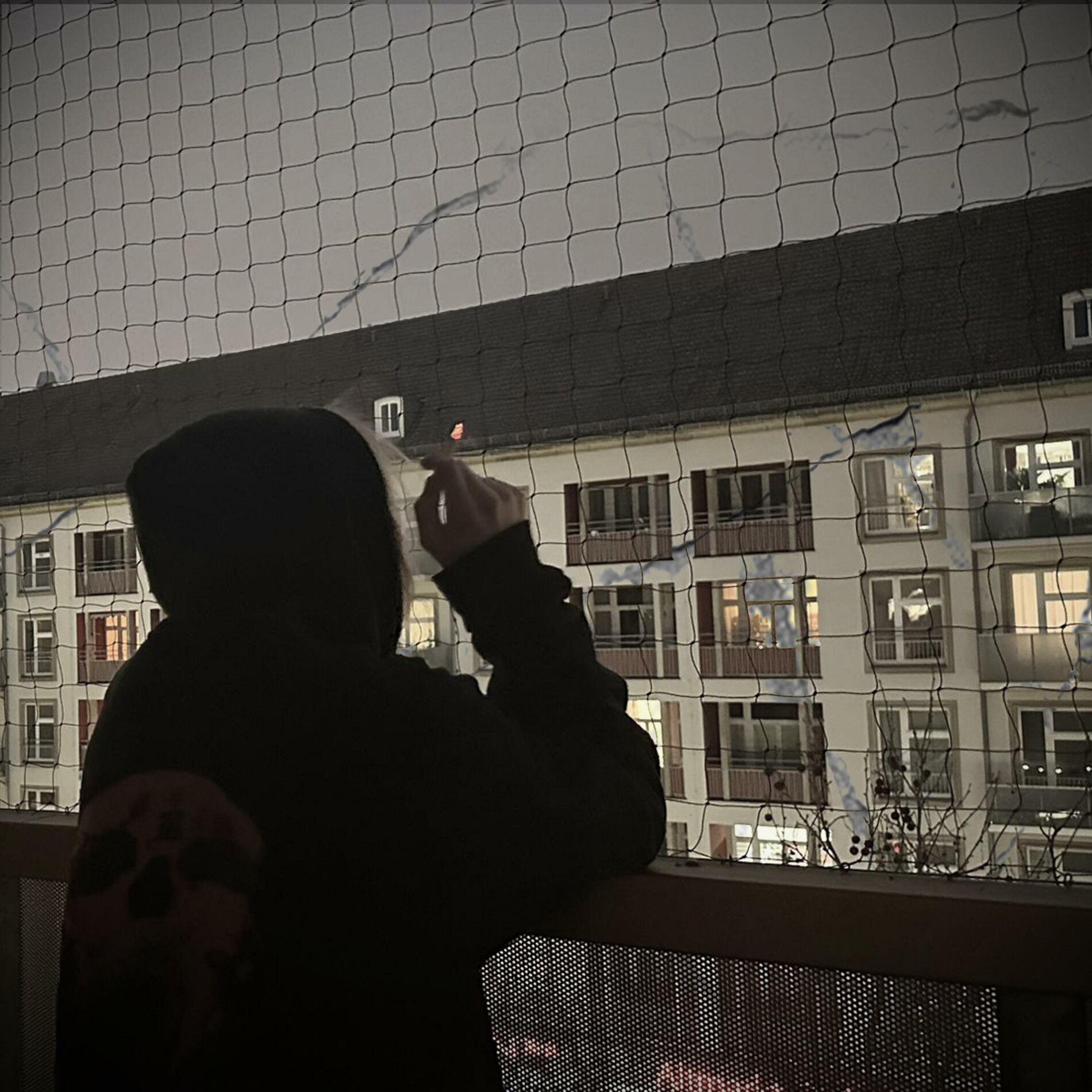 Album cover of L(i)ebe