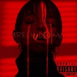 Cover of BREAK UDØWN