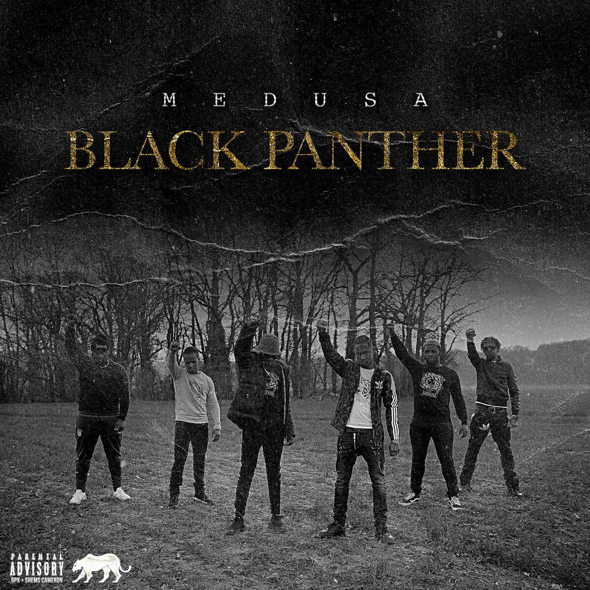 Album cover of Black Panther