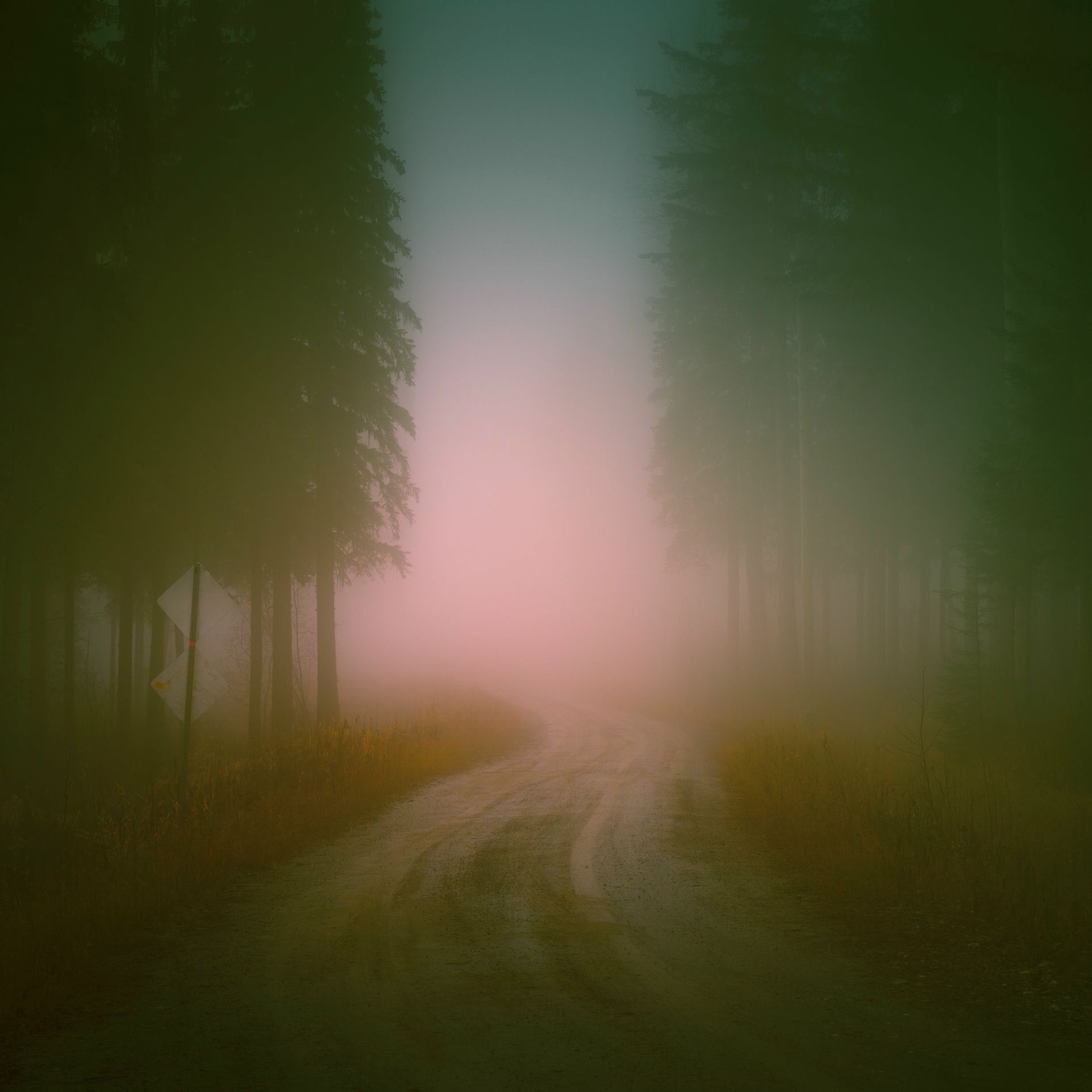 Album cover of Dials