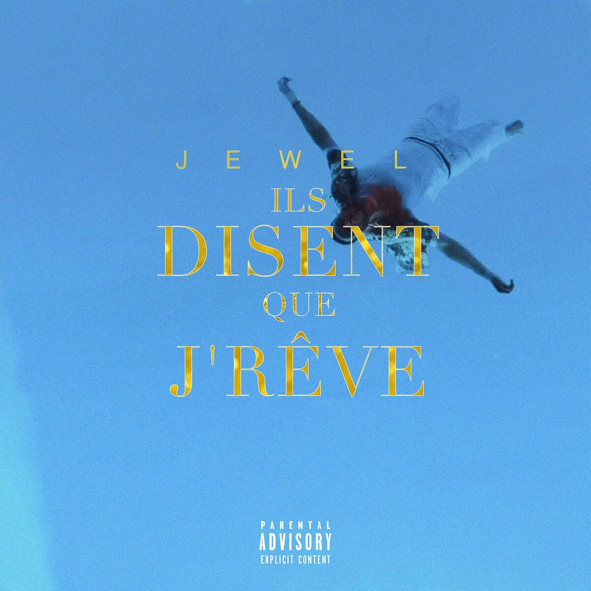 Album cover of Ils disent que j'rêve