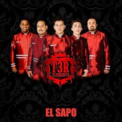 Cover of El Sapo