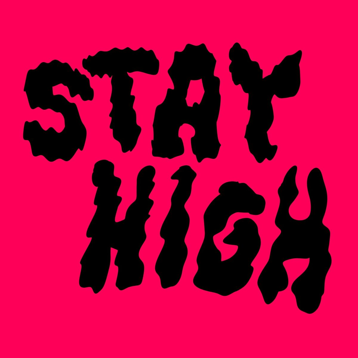 Album cover of Stay High