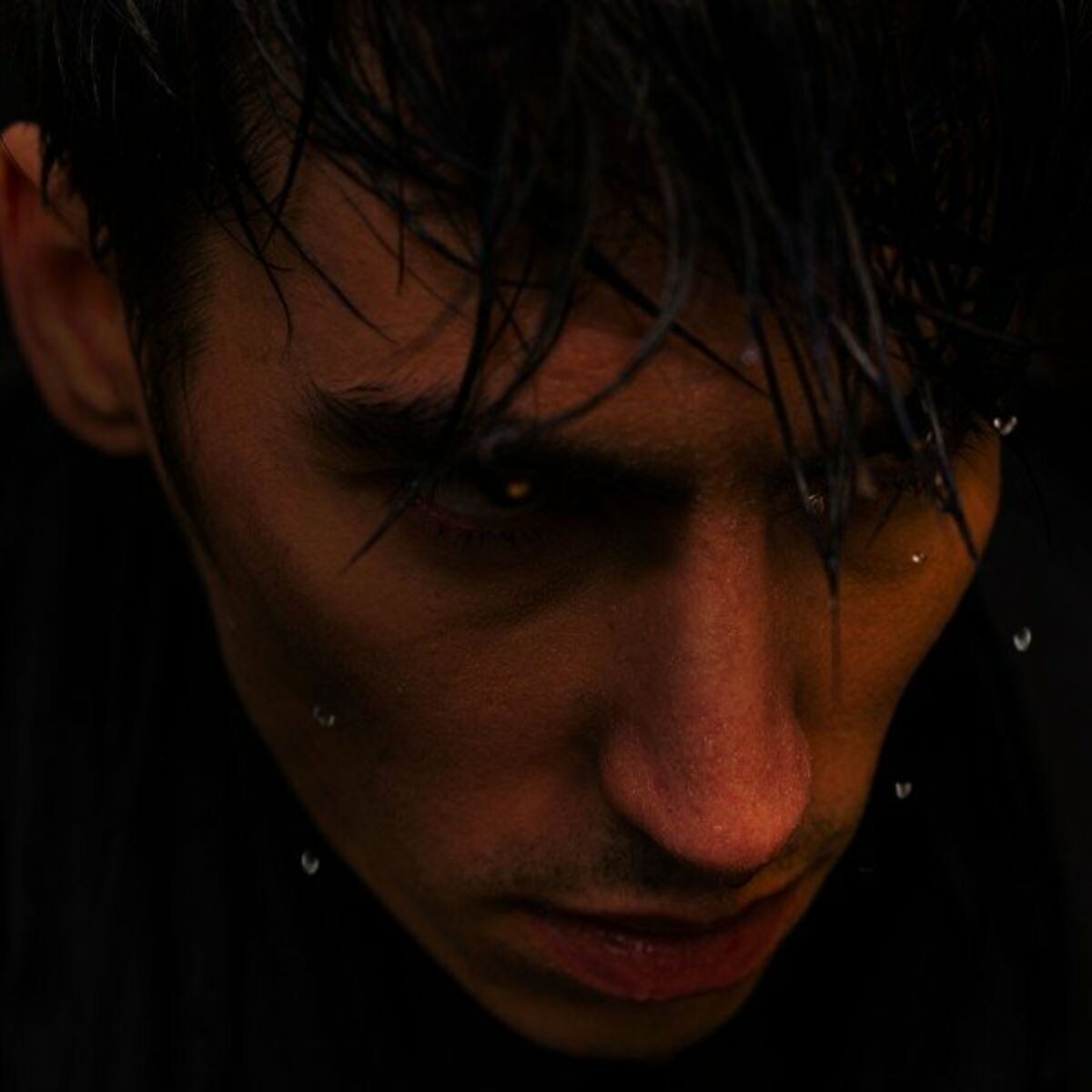 Album cover of L'âme du phoenix