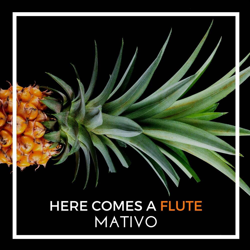 Picture of Here Comes A Flute (Radio Edit)
