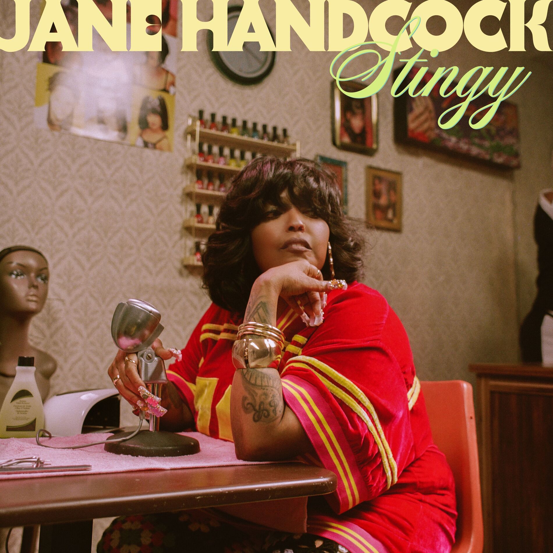 Album cover of Stingy