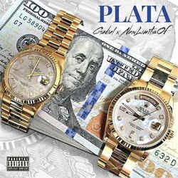 Cover of Plata