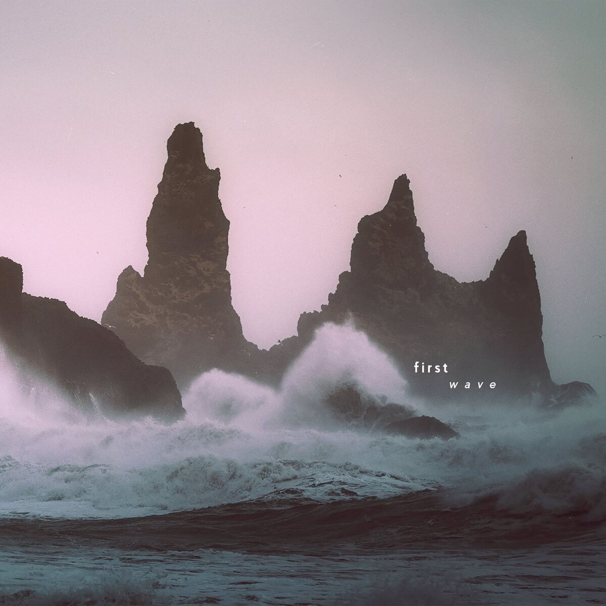 Album cover of First Wave