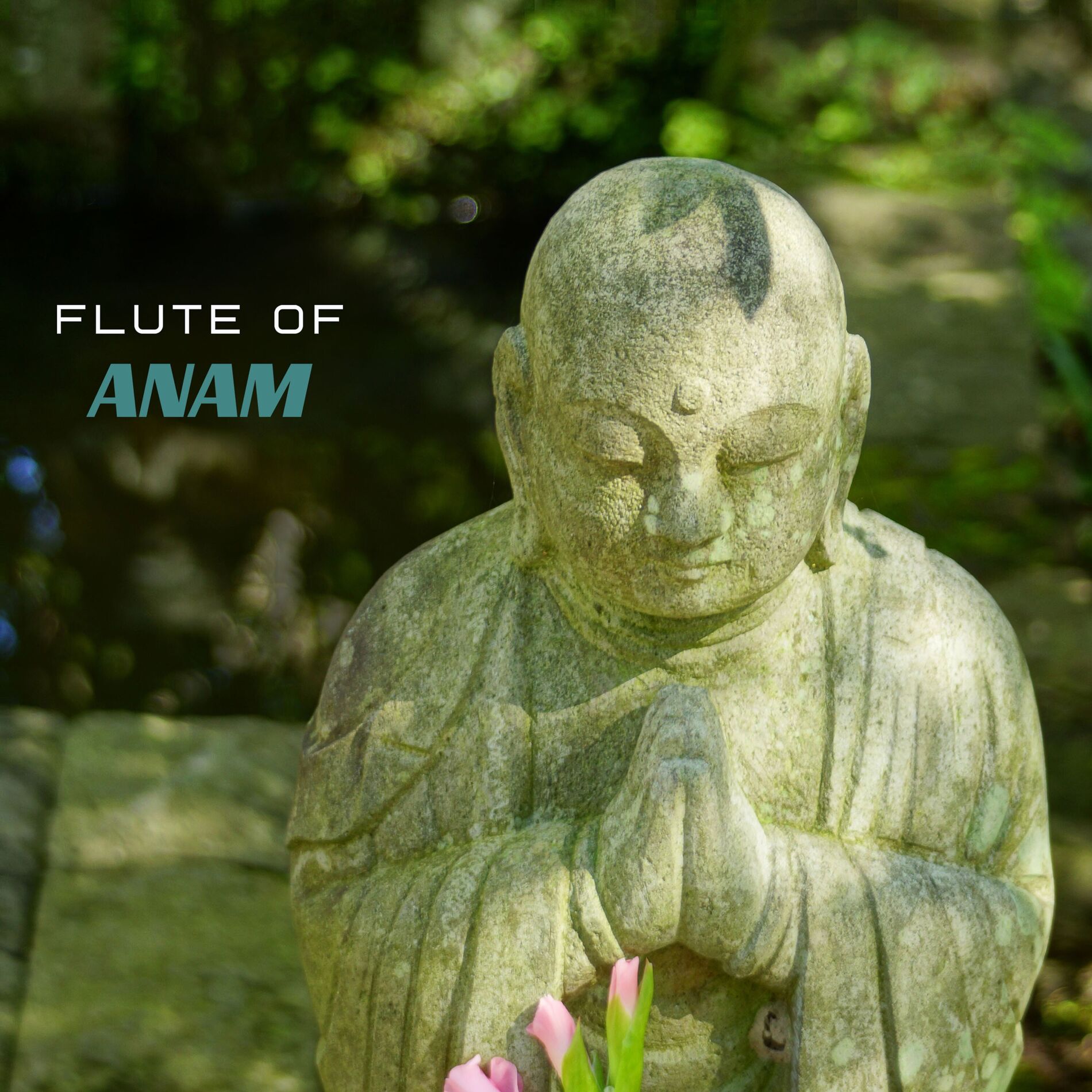 Album cover of Flute of Anam