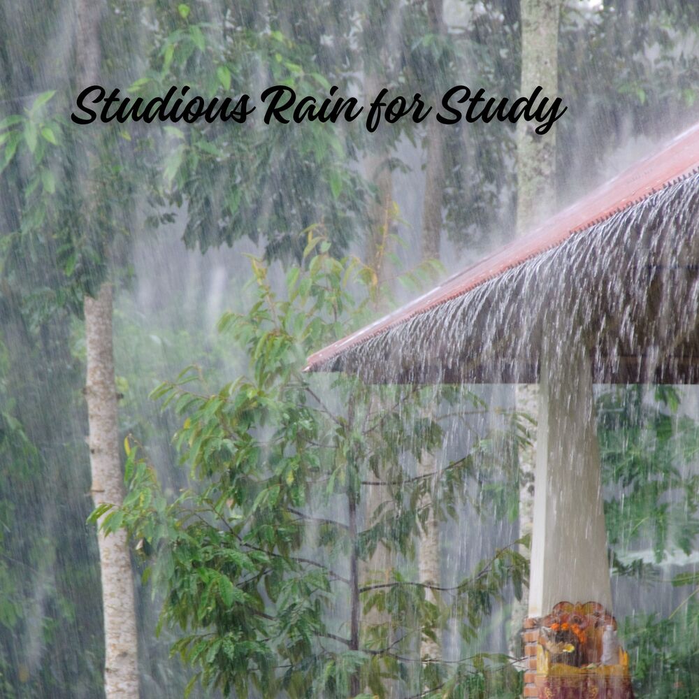 Picture of Studious Rain for Study