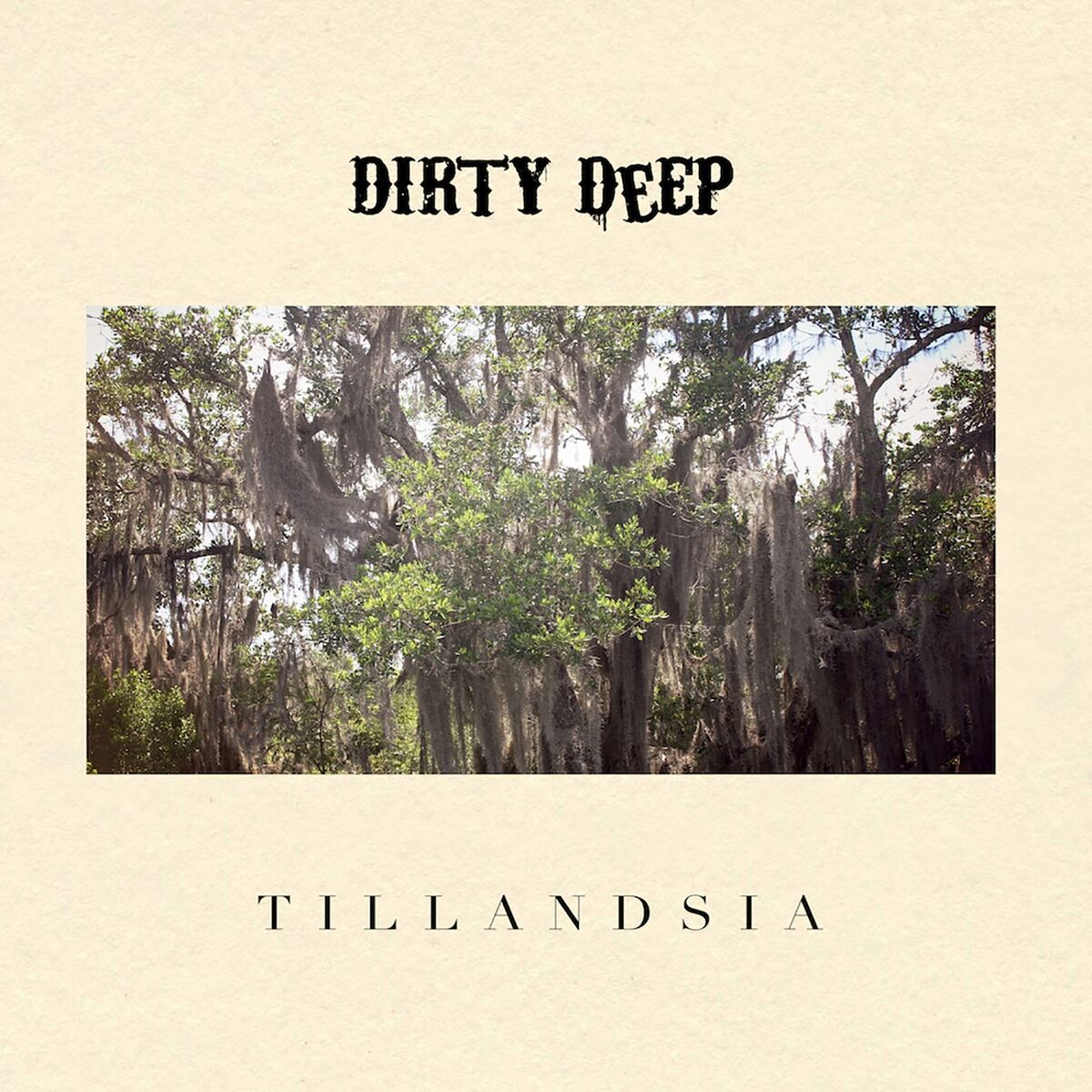 Album cover of Tillandsia