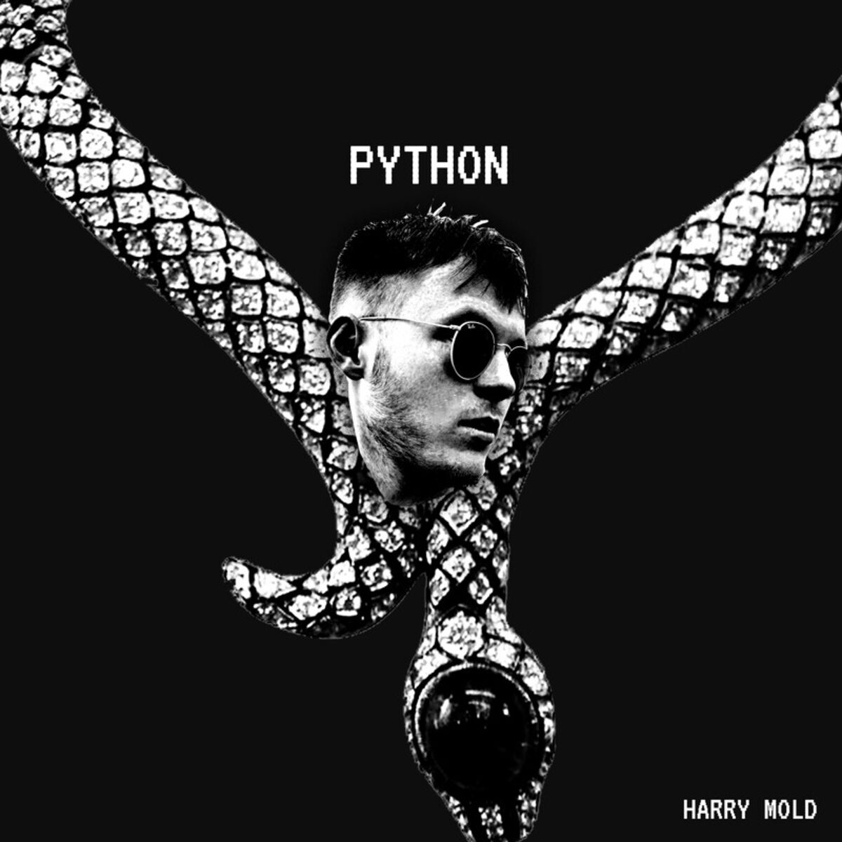 Album cover of Python
