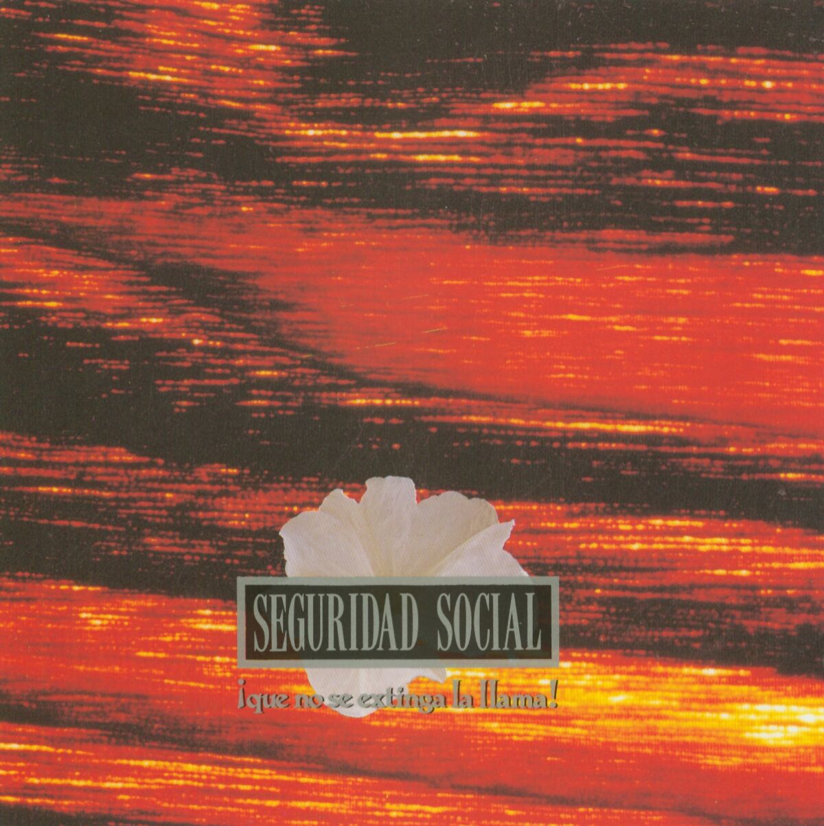 Album cover of Chiquilla