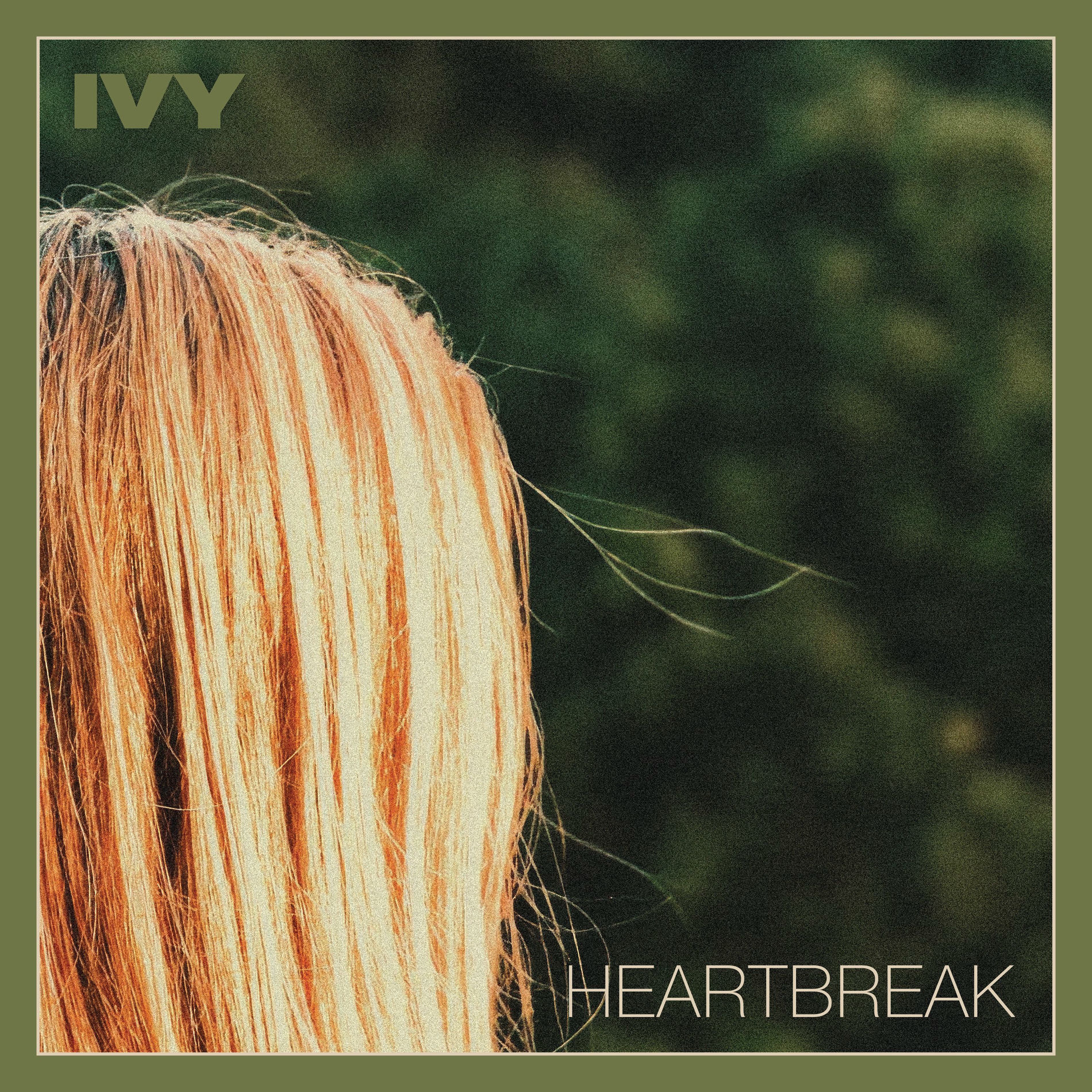 Album cover of Heartbreak
