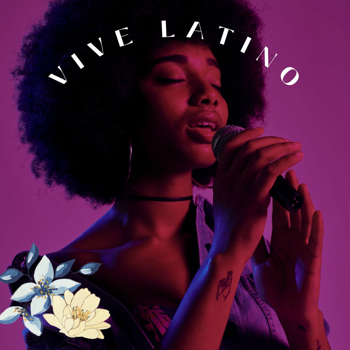Album cover of Vive Latino