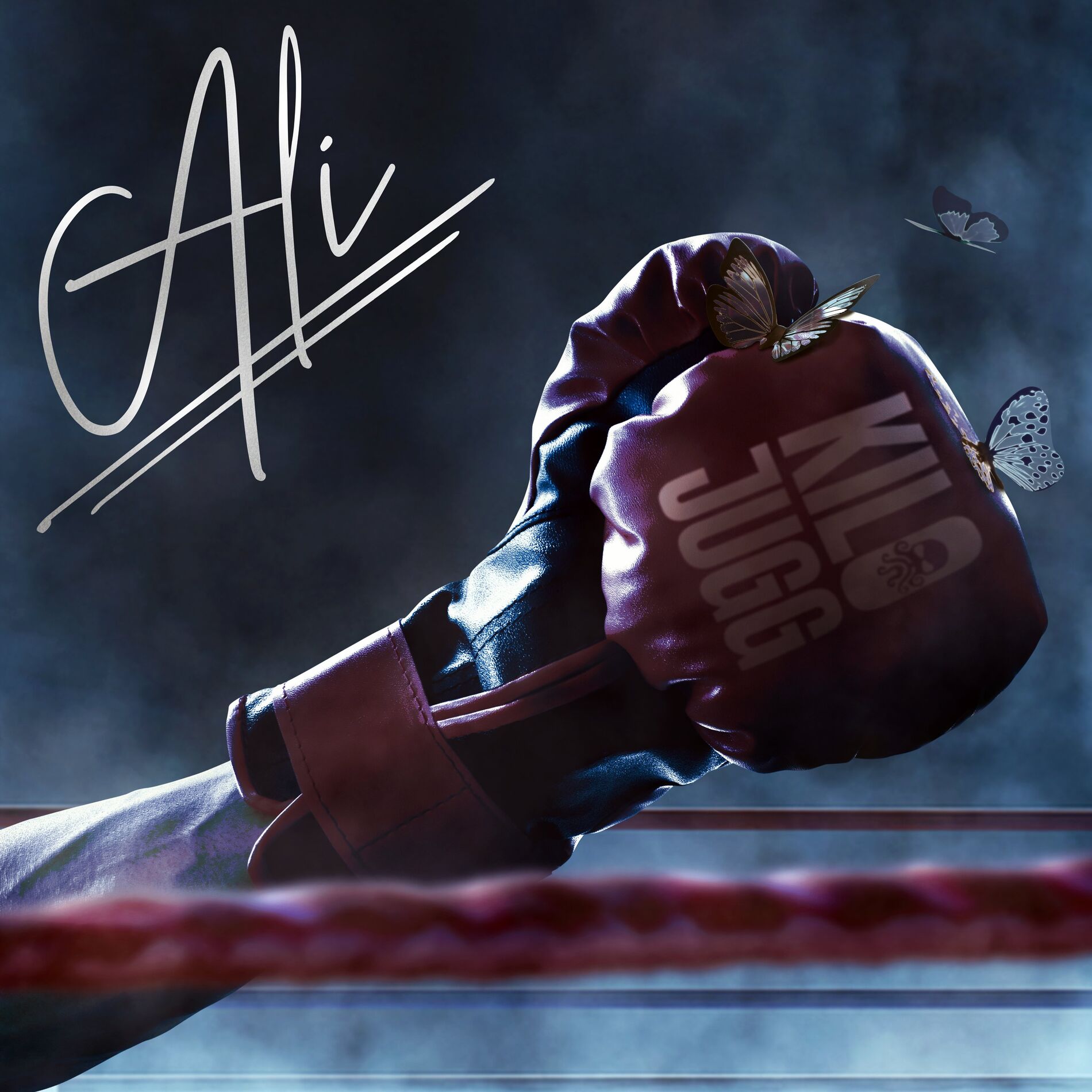 Album cover of Ali